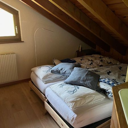Chalet Les Rhodos Appartement Le Yeti Les Crosets Eksteriør billede